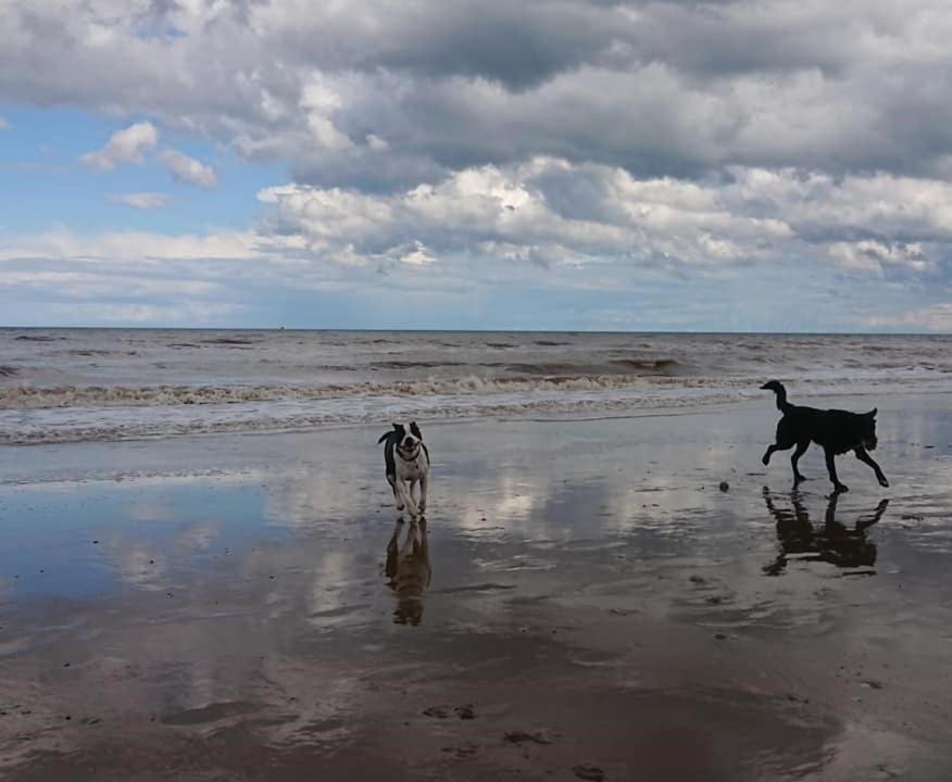 The Sun Trap @ Bridlington'S Bed & Bowl Beach Breaks Exterior photo